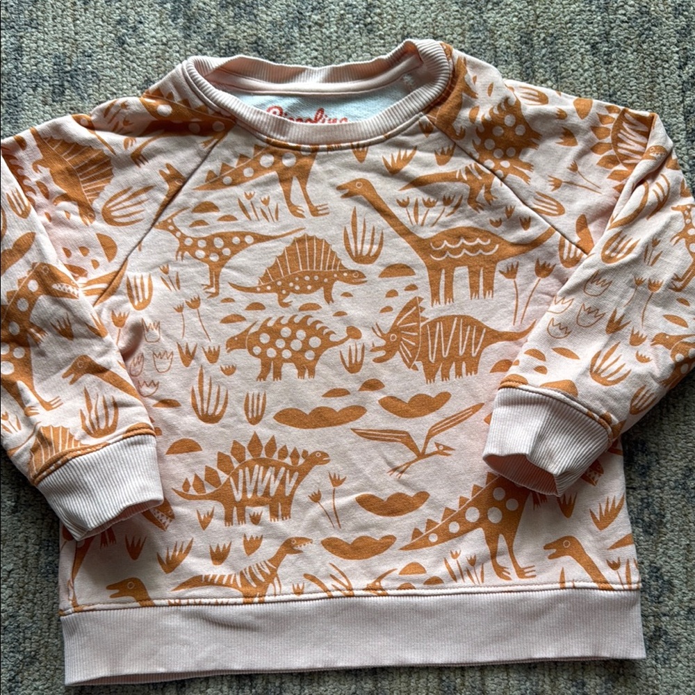 Playful Dinosaur Kids Sweatshirt - Peach